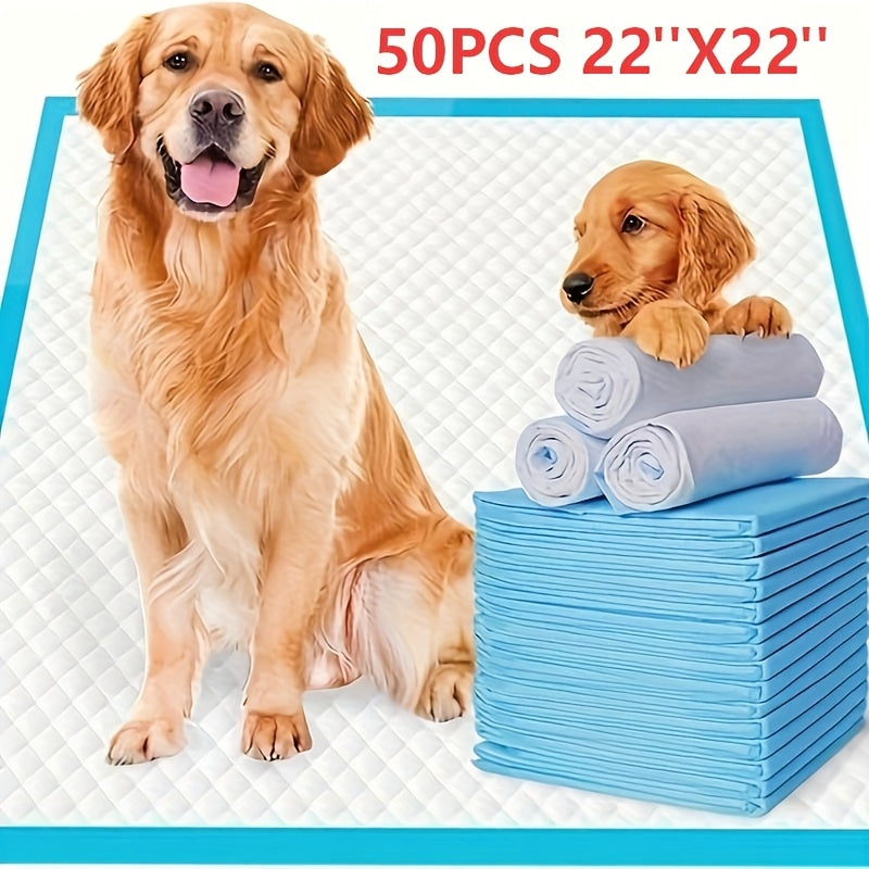 22 x 22 Inch Puppy Pee Pads, 50 Count Disposable Absorbent Dog Potty Training Pads with Blue Border for Indoor Housebreaking and Daily Cleanup