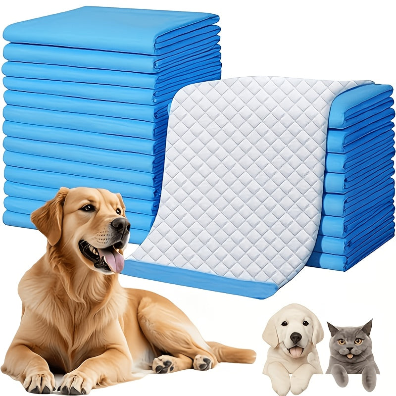 Quick-Dry Dog Pee Pads 31 x 47 Inch, 60 Count Extra Large Absorbent Puppy Potty Training Pads with Leak Protection for Housebreaking and Crate Use