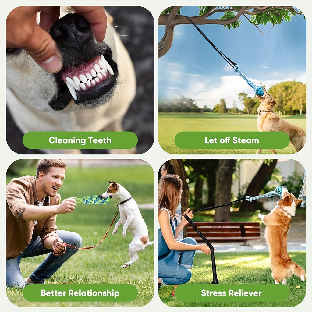 Dog Bungee Tug Toy Set for Small and Medium Dogs, Tree Hanging Tether with Two Chew Ropes and Puzzle Ball for Interactive Backyard Play