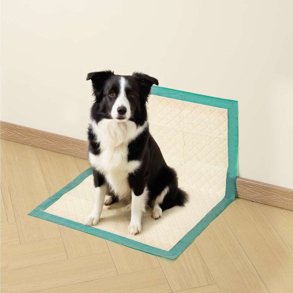 Dog Pee Pads 24 x 24 Inches, 6-Layer Disposable Puppy Training Pads with Absorbent Core and Waterproof Backing, 50 or 100 Count Packs