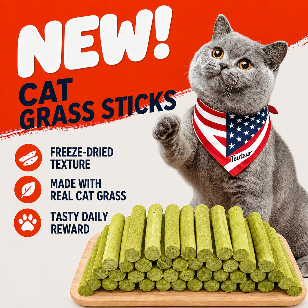 Crunchy Cat Treat Sticks with Chicken and Cat Grass, 2.93 oz Freeze-Dried Cat Snacks for Indoor Cats, Training Rewards and Food Topping