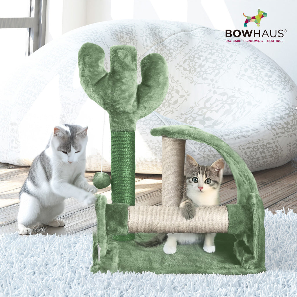 Small Cactus Cat Tree for Kittens, Green 20-Inch Indoor Cat Tower with Three Sisal Scratching Posts, Arched Pad and Interactive Ball