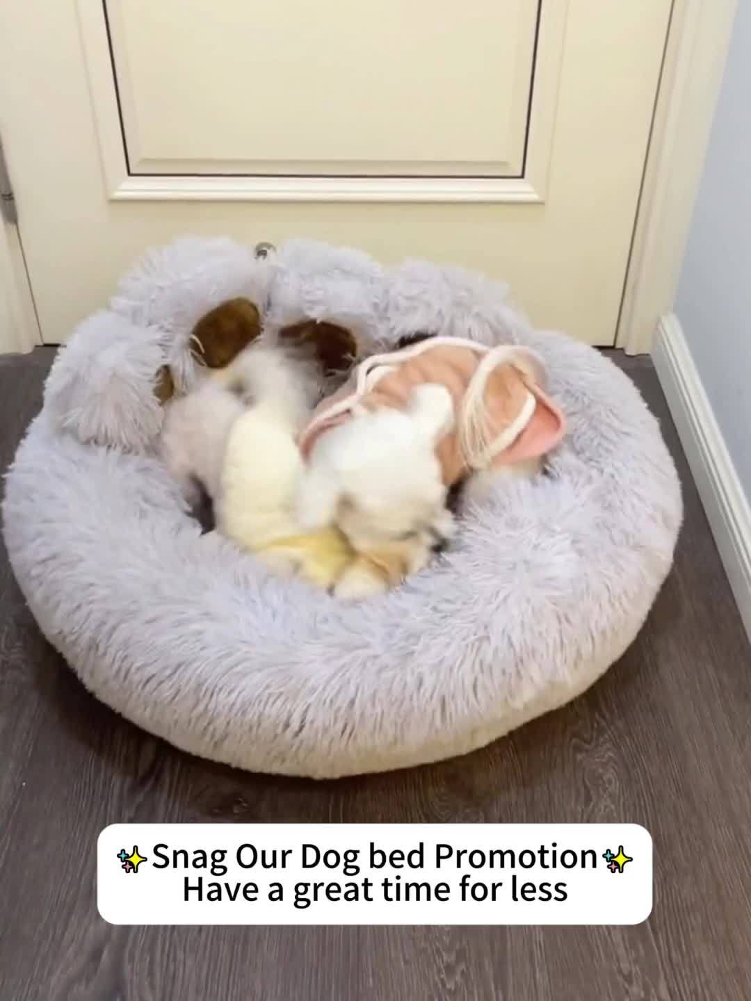 Dog Bed with Bear Paw Bolsters, Thick Plush Cat Sleeping Cushion with Non-Slip Bottom, Pink Grey or Coffee in 60cm, 70cm and 100cm Sizes