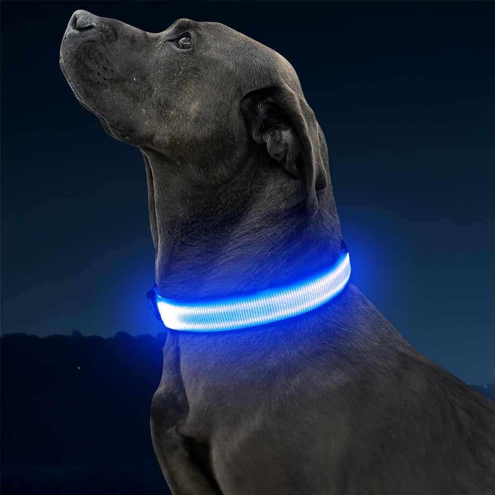 Light Up Dog Collar with 4 Bells, Micro USB Rechargeable LED Nylon Pet Collar with Adjustable Fit, Plastic Buckle and D-Ring for Night Walks