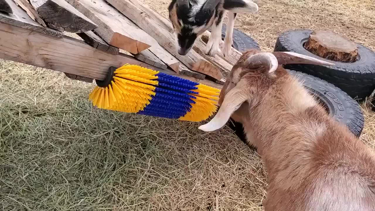 Horse Grooming Scratcher Set for Cattle and Livestock, 2 or 4 Pieces with Rounded Edges and Screws, Color Options and Selected Cleaning Brush Bundles