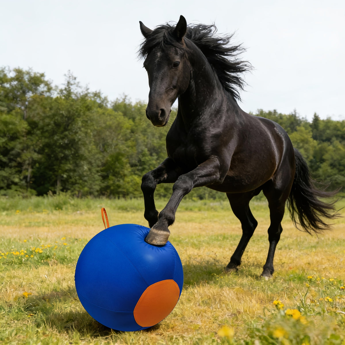 Herding Ball for Dogs with Handle and Air Pump, Large Inflatable Outdoor Training Toy for Australian Shepherds, Border Collies and Backyard Play