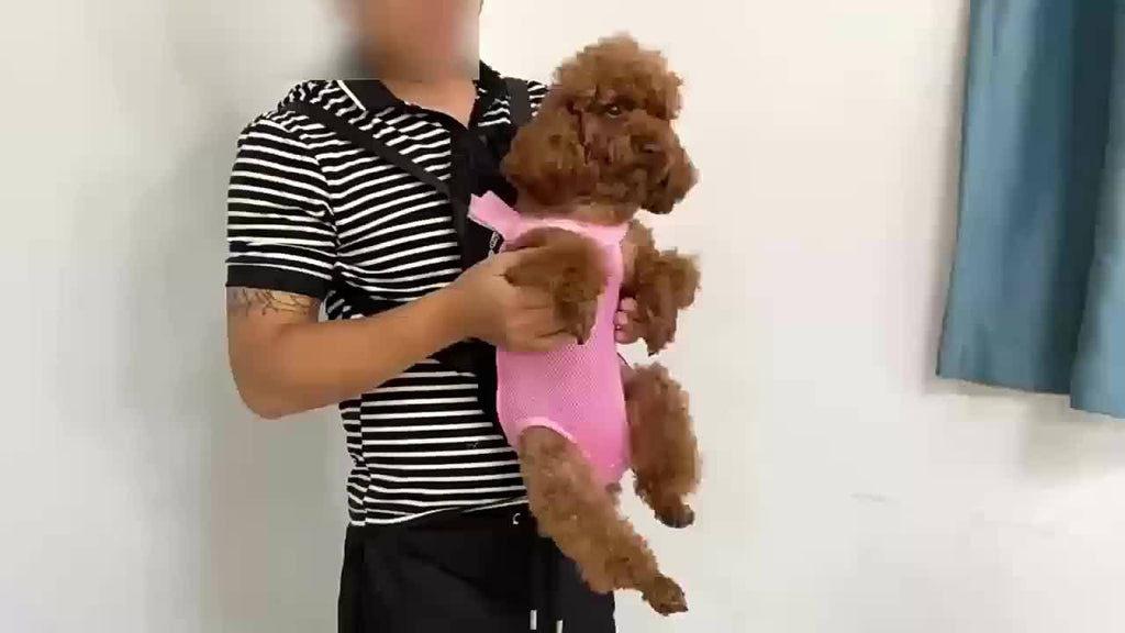 Breathable Mesh Dog Carrier Backpack for Small Dogs and Cats, Legs-Out Front Travel Bag with Adjustable Shoulder Straps and Zipper Closure