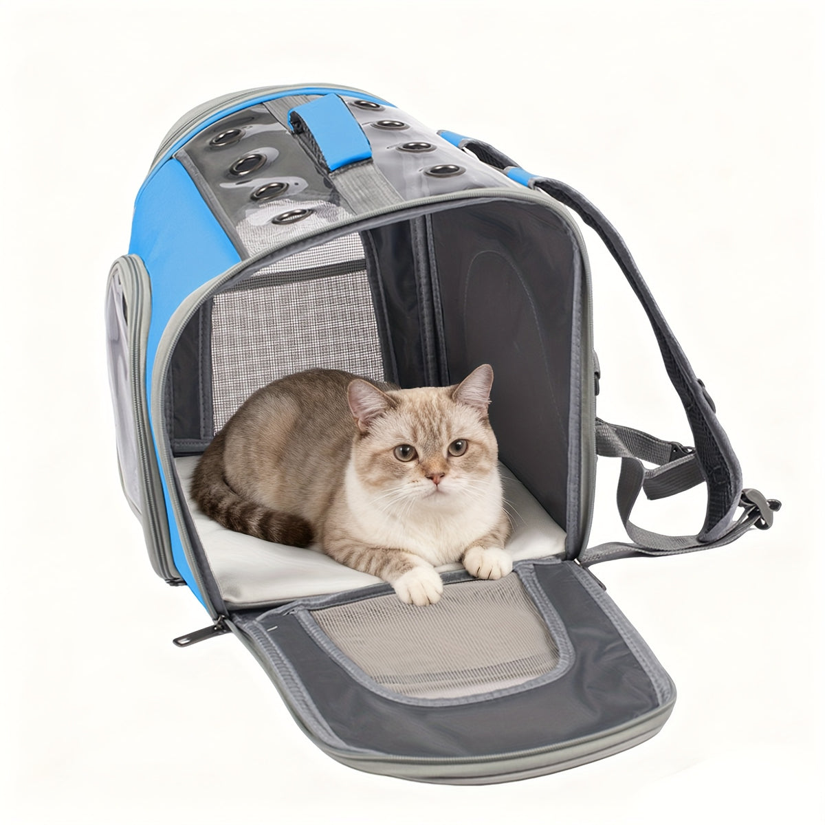 Cat Backpack with Front Opening and Breathable Mesh Window, Foldable Pet Carrier in Purple, Pink, Gray or Blue for Walks and Travel