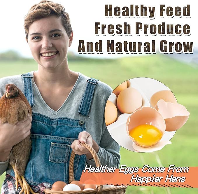 Bulk Chicken Grubs, Dried Black Soldier Fly Larvae Treats in 10, 20 or 40 lb Sizes for Backyard Chickens, Ducks and Quail Feeding Routines