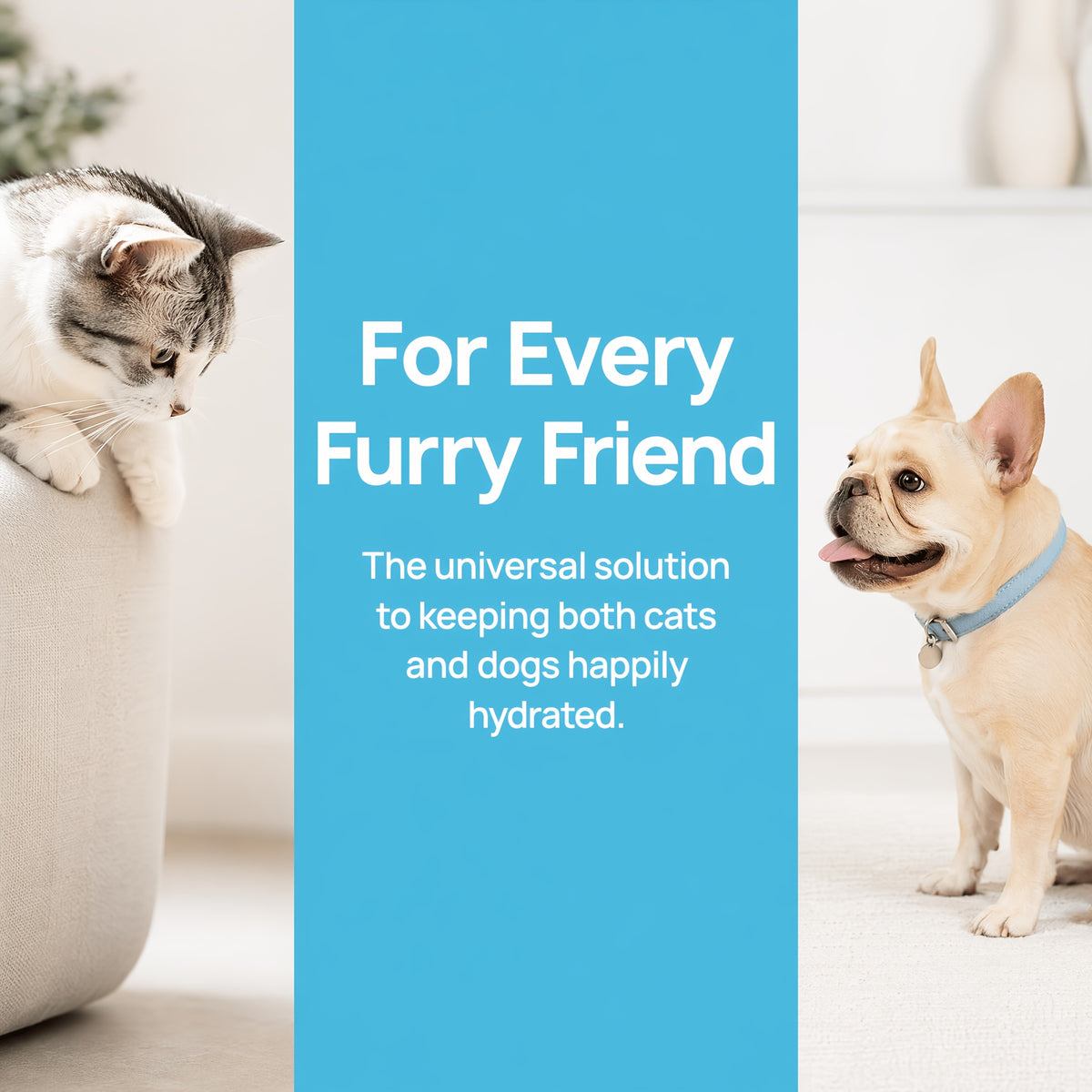 Water Drop Cat Water Fountain 1.5L, Compact Quiet Pet Drinking Dispenser with Visible Water Level and Filter Bundle Options for Small Rooms