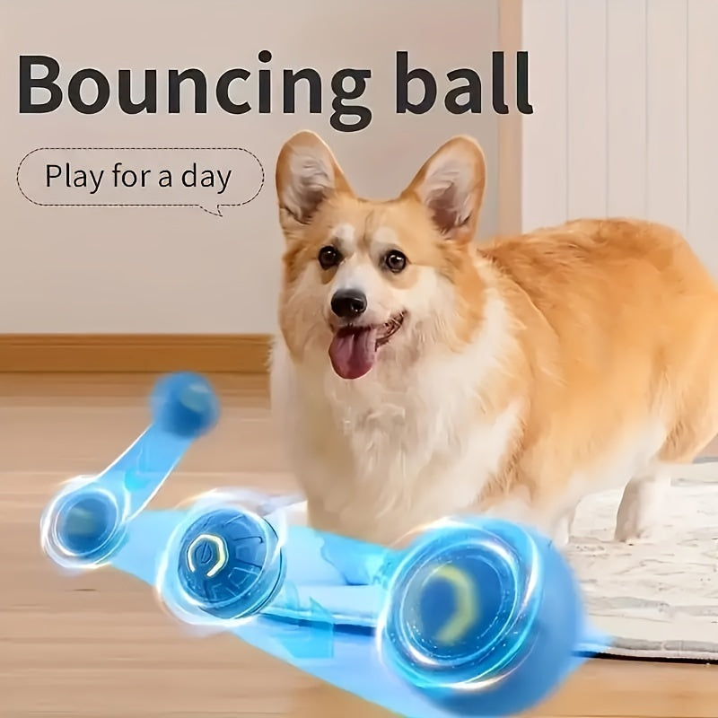 Motion Activated Dog Ball, USB Rechargeable Automatic Rolling Interactive Toy for Small and Medium Dogs, Blue or Orange for Supervised Chase Play