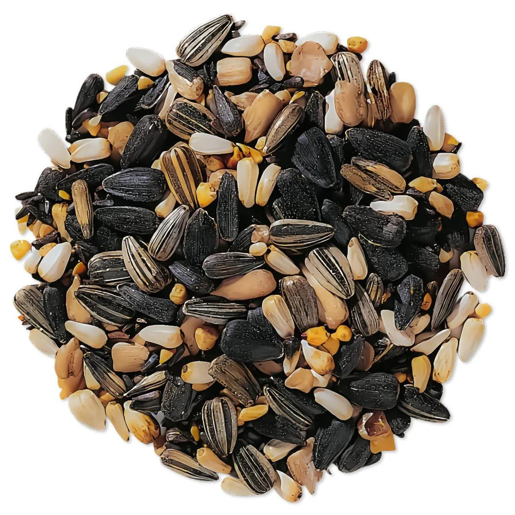 Bird Seed 10 lb Bag for Outdoor Wild Birds, Porch Hanging Feeders, Lawn Stands and Ground Feeding Stations, Year-Round Backyard Songbird Watching