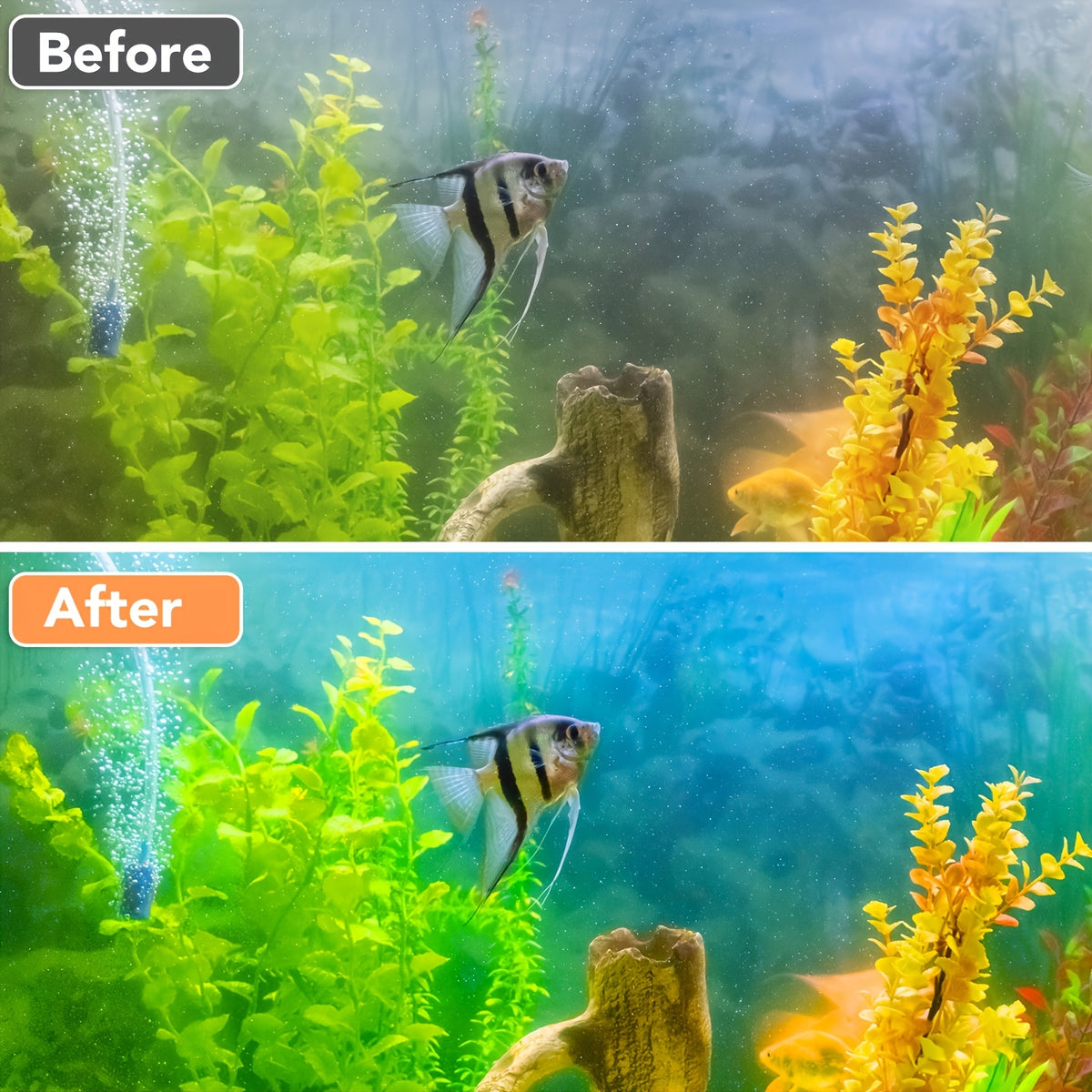 Aquarium Filter Media Resin for Freshwater and Saltwater Fish Tanks, 2-Bag 500ml Option, Filtration Accessories for Routine Aquarium Maintenance