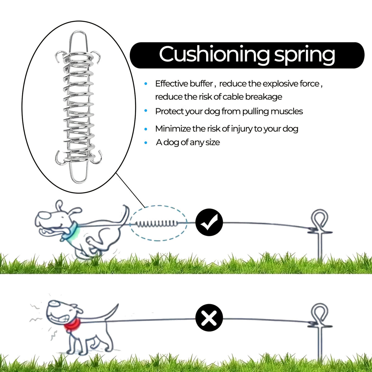 Braided Reflective Dog Leash for Daily Walks and Training, 1/2-Inch Rope Lead with 4, 5, 6, 10 and 15 Foot Options in Multiple Colors