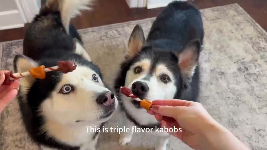 Dog Treat Kabobs with Chicken, Beef and Chicken Liver, 3-in-1 Meat Chew Snacks or Beef Sausage Sample Pack for Supervised Rewards and Treat Time