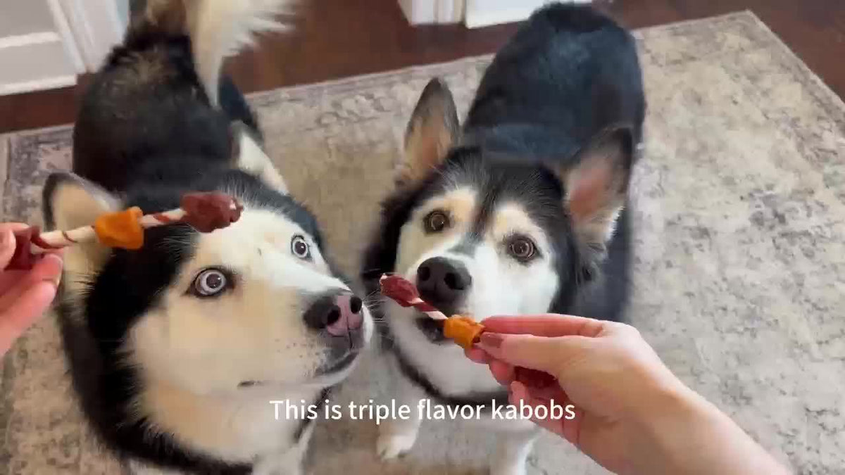 Dog Treat Kabobs with Chicken, Beef and Chicken Liver, 3-in-1 Meat Chew Snacks or Beef Sausage Sample Pack for Supervised Rewards and Treat Time