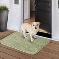 Dog Door Mat for Muddy Paws, Absorbent Microfiber Non-Slip Indoor Entryway Rug, Machine Washable Quick-Dry Pet Mat in Camel, Green or Gray
