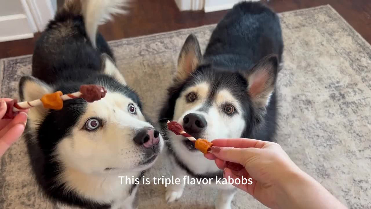 Dog Chew Treats Kabob Mix with Triple Flavor Options, 4 oz and 7.3 oz Packs Plus Combo and Sample Selections for Supervised Snack Time