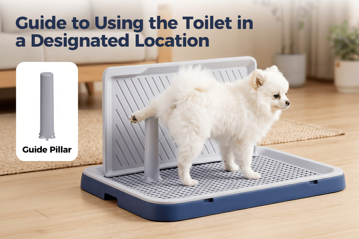 High-Sided Dog Potty Tray with Removable Grate, Indoor Puppy Toilet for House Training, Non-Slip Base, Small Size in Blue Gray or White Gray