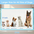 Extra Large Puppy Pee Pads 31 x 47 Inch, 40 Count Thickened Disposable Absorbent Dog Potty Training Pads with Leak Protection for Indoor Cleanup