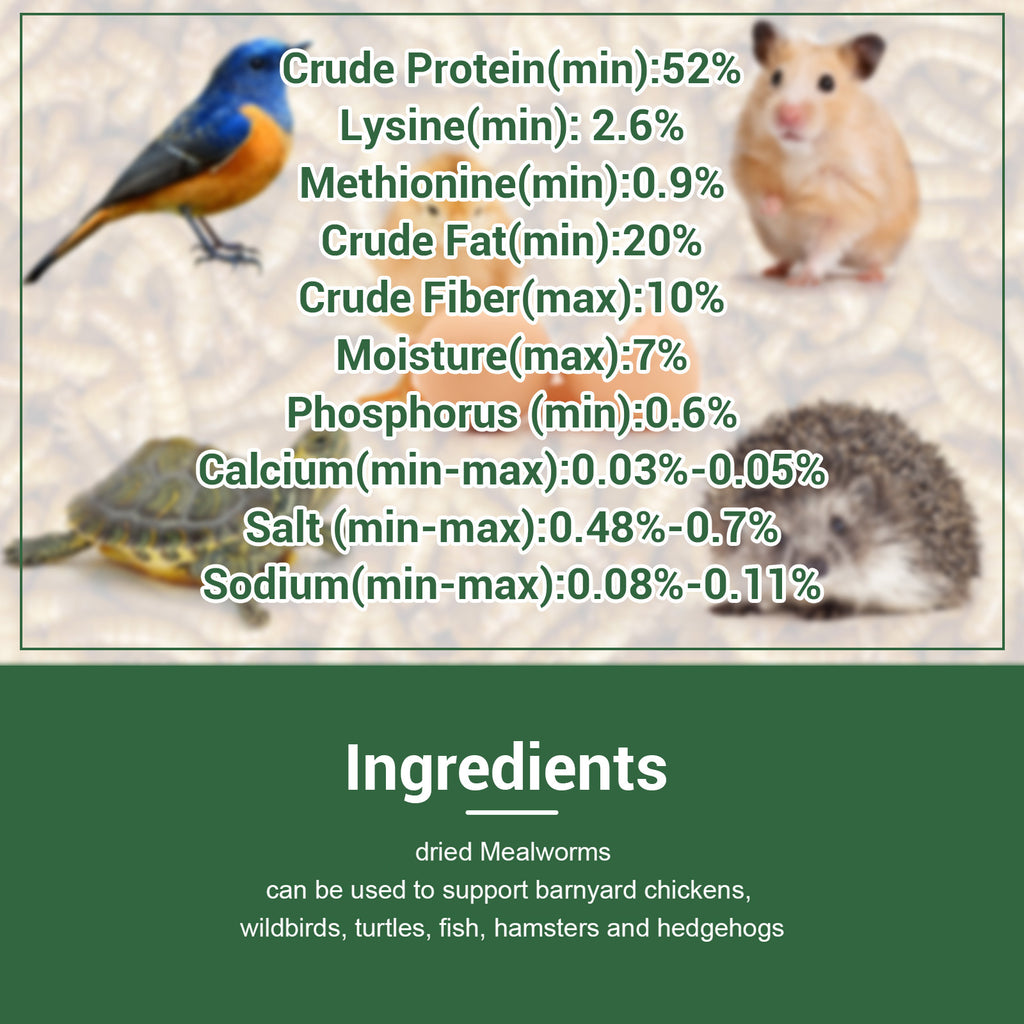 Dried Mealworms for Chickens and Wild Birds, Insect Treats for Backyard Feeding and Foraging Routines with Small and Bulk Weight Options