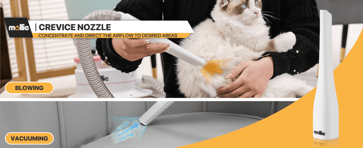 Dog Grooming Vacuum and Dryer Kit with 6 Grooming Tools, Trimmer and Guide Combs for At-Home Dog and Cat Coat Care, MoNiBloom