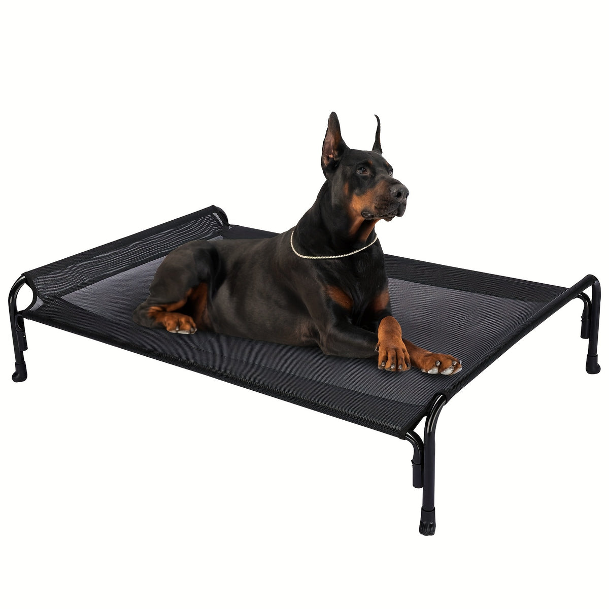 Elevated Dog Bed with Sloped Headrest, Breathable Raised Pet Cot in M to XXL Sizes for Indoor Lounging, Outdoor Rest and Camping