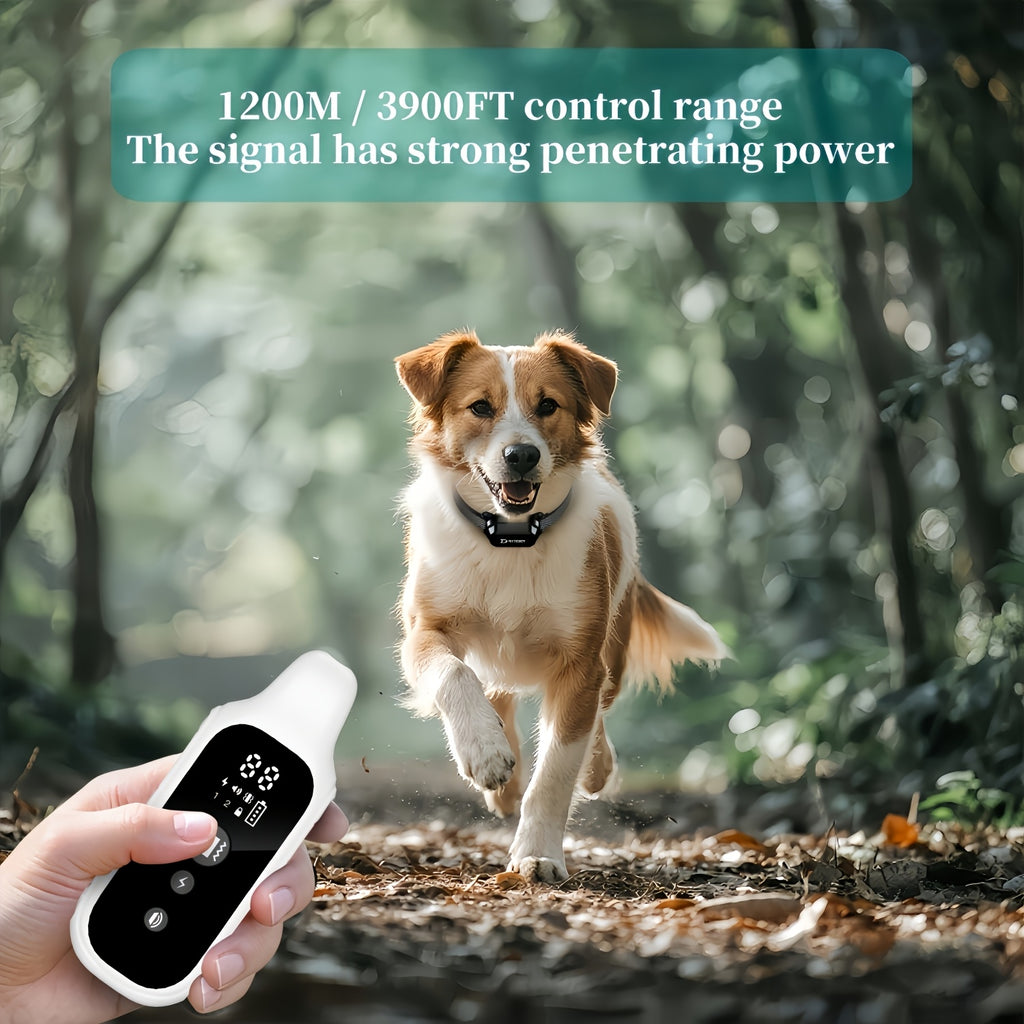 D80-1 Dog Training Collar with Digital Remote, Rechargeable Black Adjustable Nylon Collar with Listed Beep and Vibration Functions for Supervised Sessions