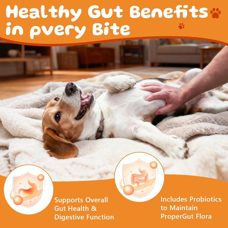 Pumpkin Flavor Dog Probiotics, Soft Chewable Tablets for Daily Digestive Health and Gut Flora Support, 160 or 320 Count Options