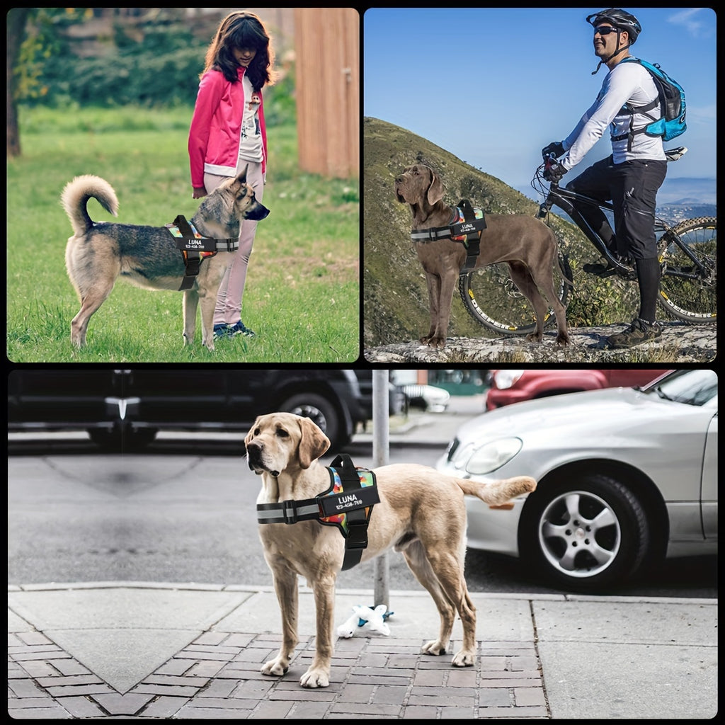 Personalized No Pull Dog Harness with Custom Name and Phone Number, Heavy-Duty Walking and Training Pet Vest in XS to XXL Size Options