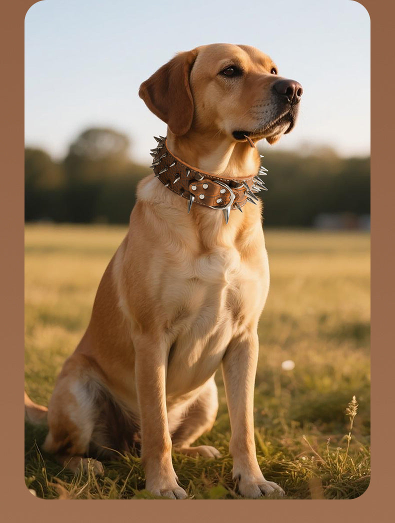 Spiked Dog Collar 2 Inch Wide with Adjustable Buckle, Leather-Like Statement Collar for Medium and Large Dogs, Four Colors in M to XXL Sizes