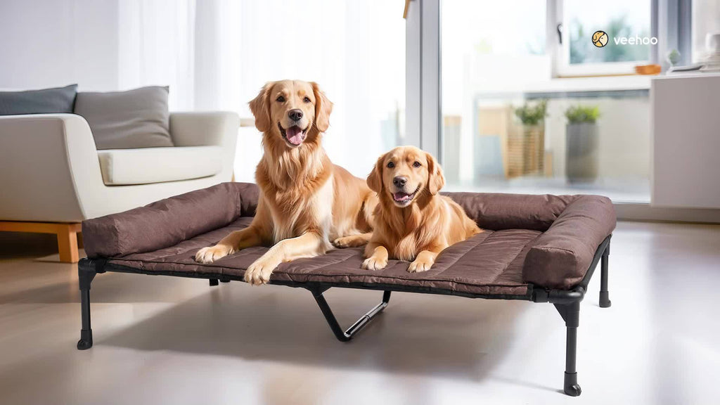 Elevated Dog Bed with Removable Pillow-Top Mat, Three-Sided Bolster Pet Cot with Breathable Teslin Mesh, Steel Frame and Non-Slip Feet in Four Sizes
