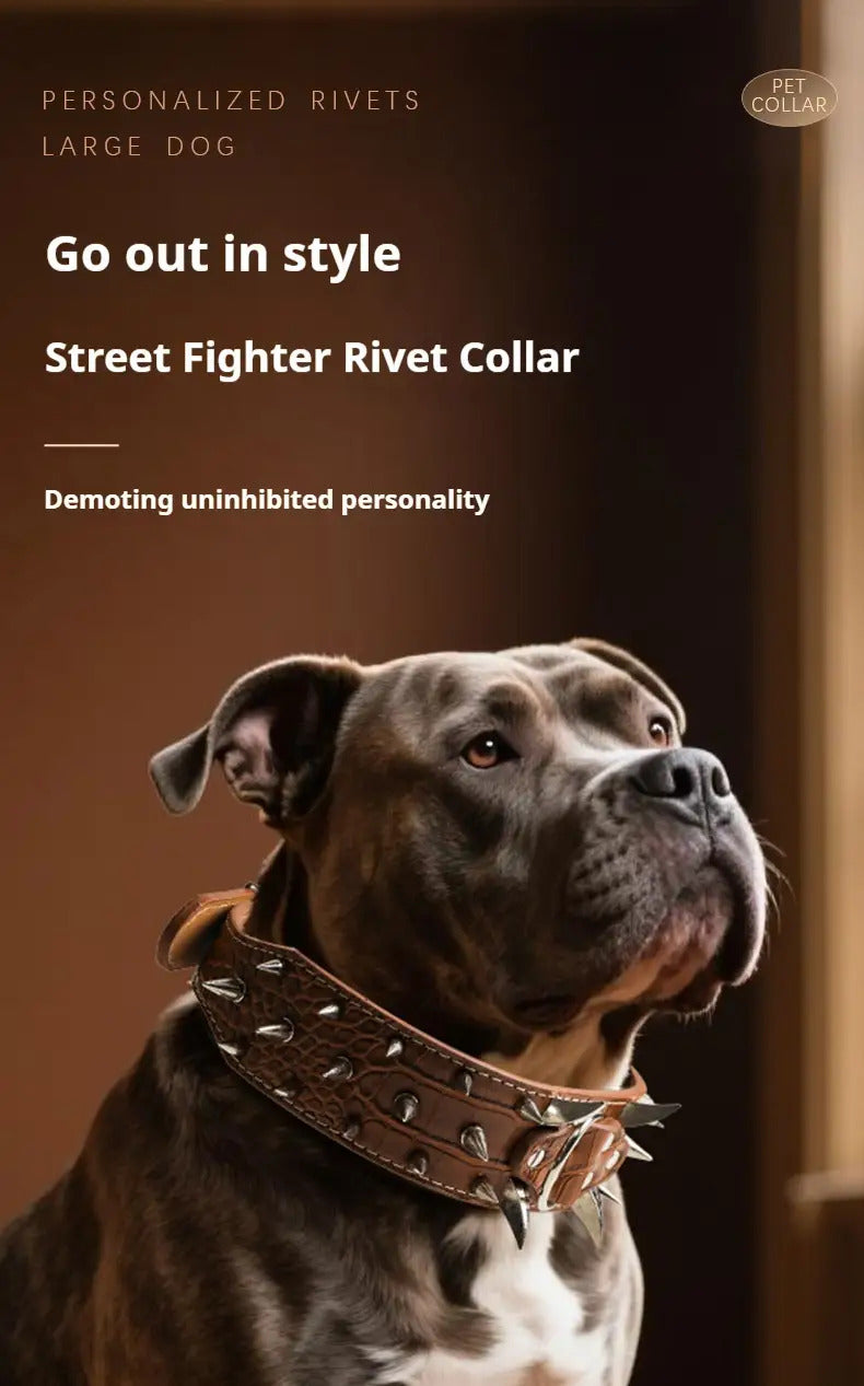 Spiked Dog Collar 2 Inch Wide with Adjustable Buckle, Leather-Like Statement Collar for Medium and Large Dogs, Four Colors in M to XXL Sizes