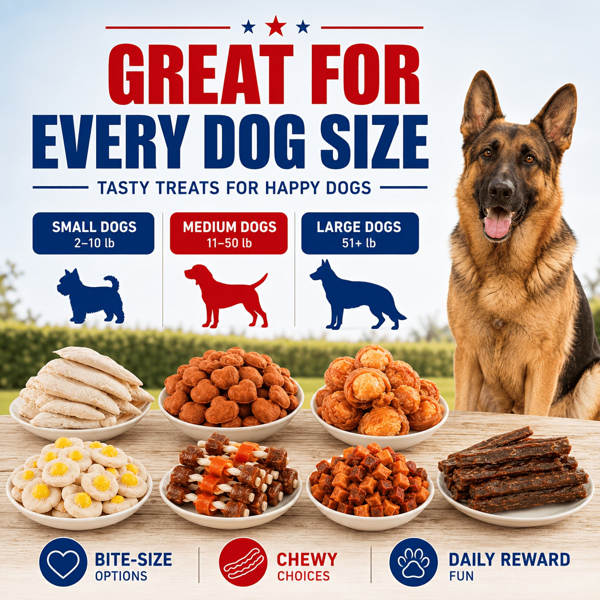 Dog Snack Combo Pack with Chicken-Flavored Milk Bars, Biscuits and Duck Chew Options, Assorted Jerky Treat Packs for Everyday Rewards