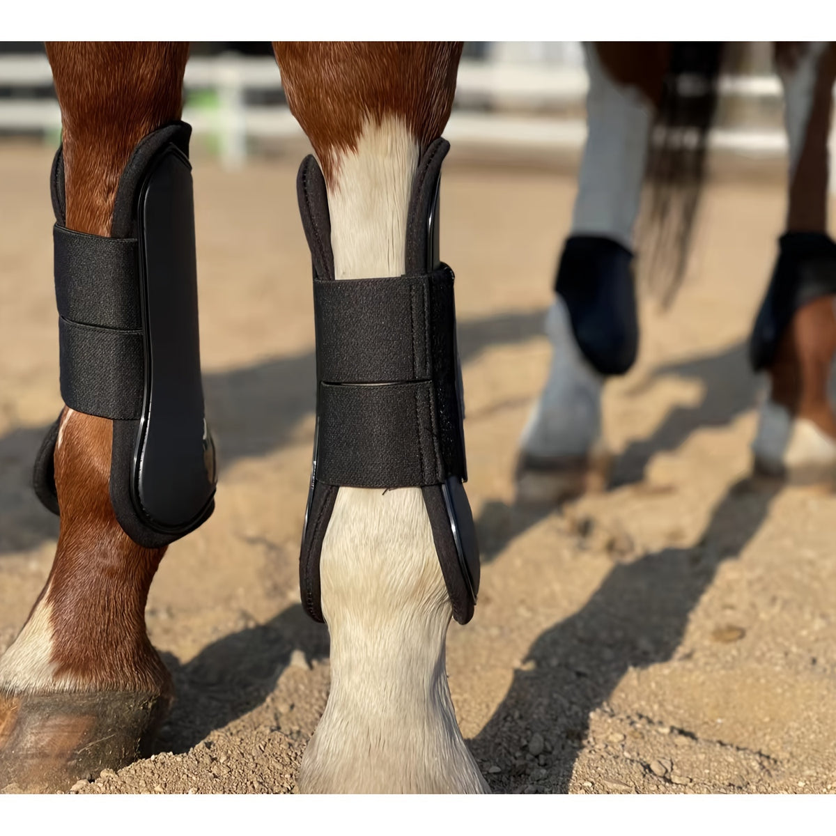 Horse Tendon Boots Set of 4, Open Front and Fetlock Leg Guards in PU and Neoprene for Riding, Jumping and Training, FULL and COB Size Options