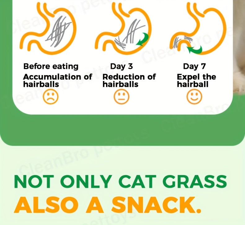 Cat Snack Pellets and Biscuits, 150g Cat Grass Pellets or Mixed Flavor Cat Biscuits and 155g Green Square Mint Granules for Supervised Treat Time