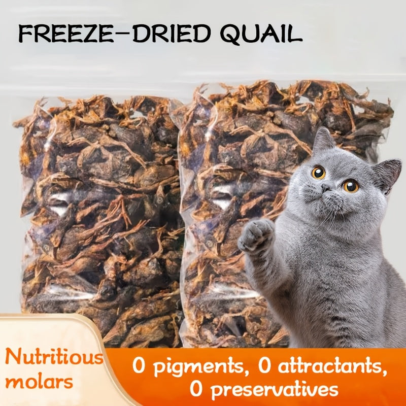 Freeze Dried Quail Cat Treats, Crunchy Single-Ingredient Pet Snacks for Cats and Dogs, Bite-Size Morsels for Supervised Treat Time and Training Rewards