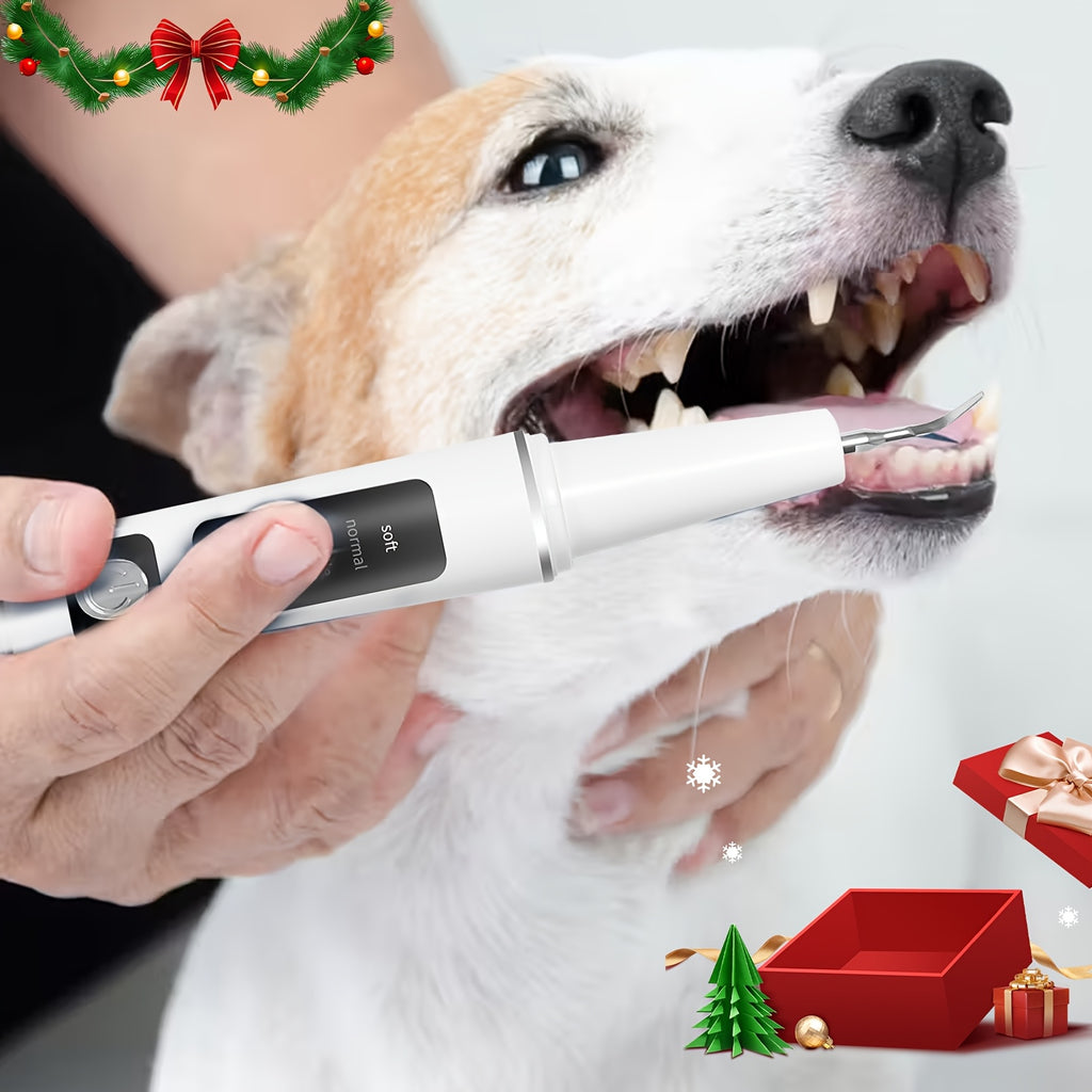 Pet Teeth Cleaning Kit for Cats and Dogs, USB Rechargeable Electric Tooth Cleaner with 4 Cleaning Heads and 5 Modes, Stain and Tartar Remover for At-Home Pet Dental Care, Quiet Low Noise Design