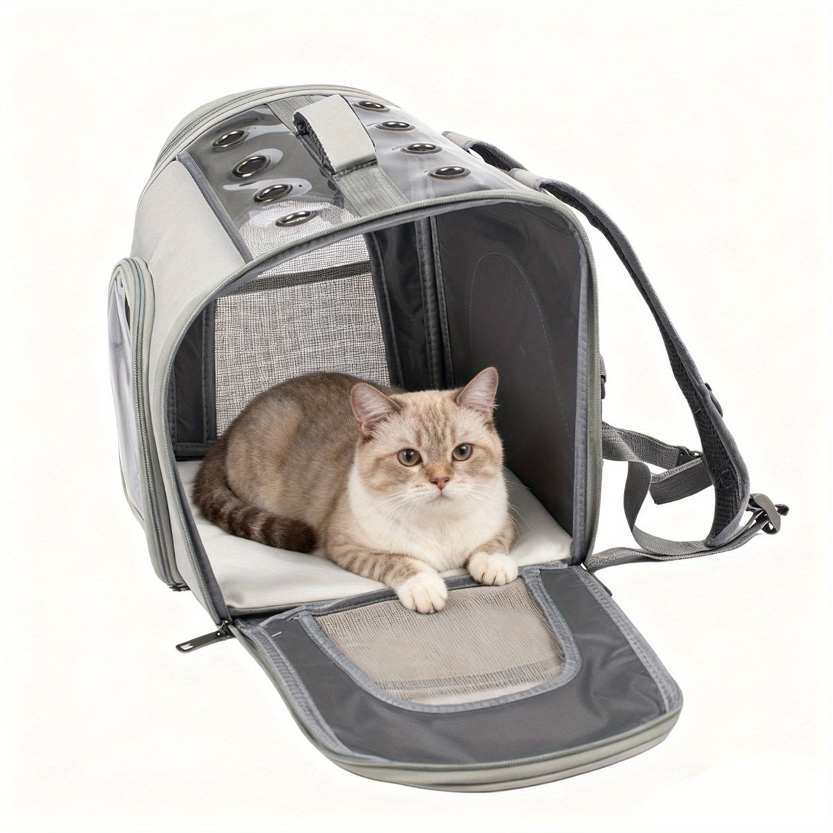 Cat Backpack with Front Opening and Breathable Mesh Window, Foldable Pet Carrier in Purple, Pink, Gray or Blue for Walks and Travel