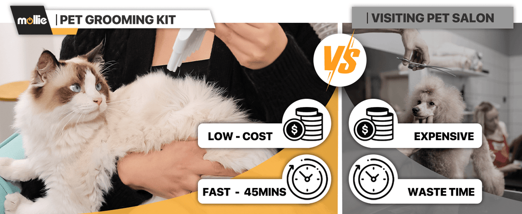 Dog Grooming Vacuum and Dryer Kit with 6 Grooming Tools, Trimmer and Guide Combs for At-Home Dog and Cat Coat Care, MoNiBloom