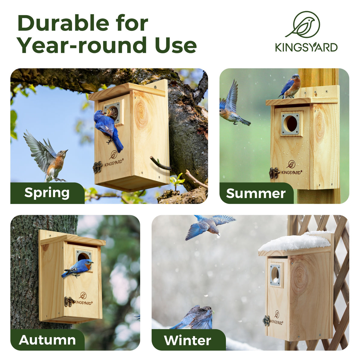 Cedar Bird House for Outside with Stainless Steel Guard, Wood Color Nesting Box for Backyard Gardens, Outdoor Decor and Bird Lover Gifts