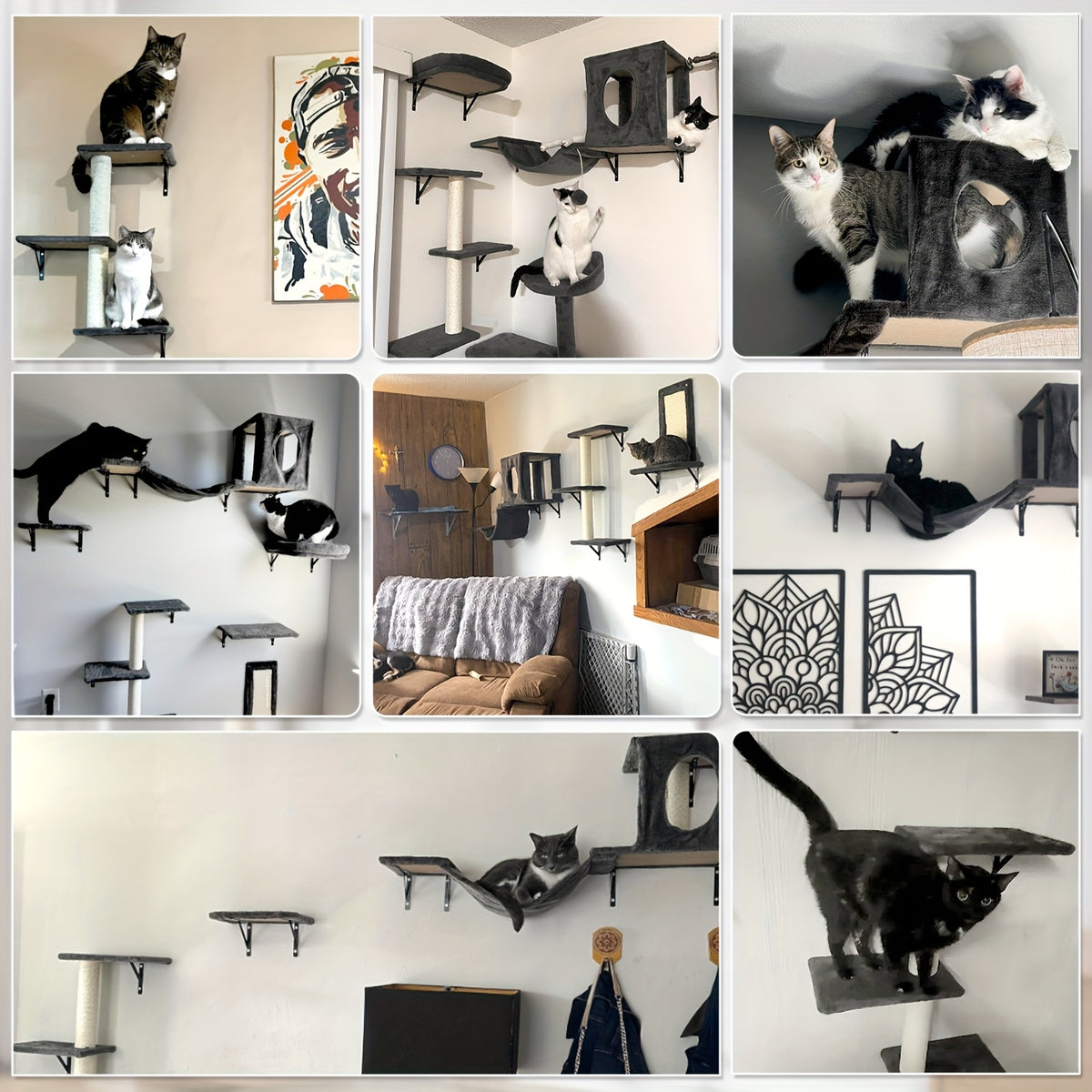 Cat Wall Climbing Shelves with Condo, 6-Piece Wall-Mounted Furniture Set with Scratching Post, Bridge Ladder and Board for Small and Medium Indoor Cats