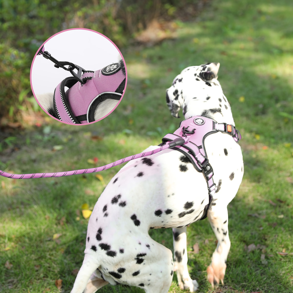 No Pull Dog Harness Set with Three-Buckle Open-Neck Design, Reflective Adjustable Vest, Padded Handle, Leash and Seat Belt, XS-XL
