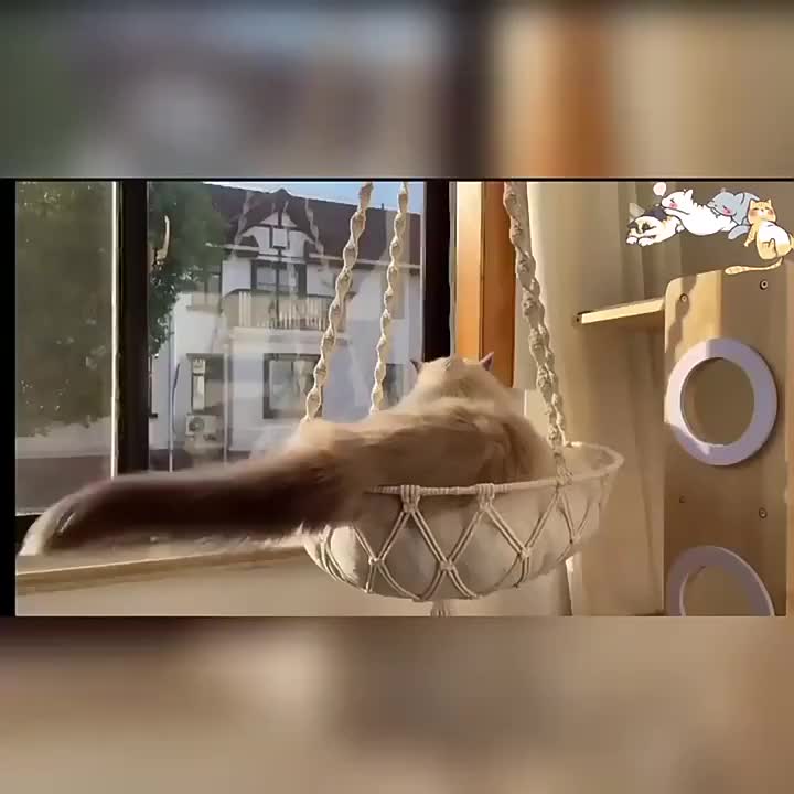 Woven Cat Hammock Bed, Semi-Enclosed Vinyl Hanging Basket for All-Season Lounging, Portable Beige Cat Resting Spot for Small Spaces