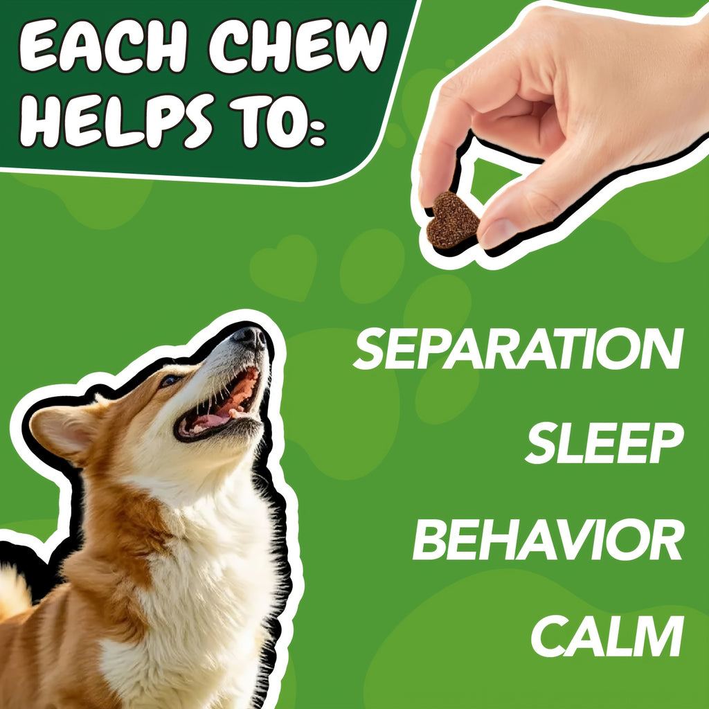 Calming Chews for Dogs and Cats, Chicken Flavor 90 Soft Chews, Bottled Pet Supplement in One, Two or Three Bottle Options for Wellness Routines