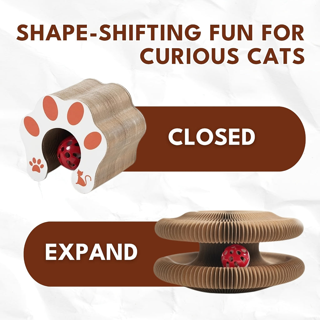 Magic Organ Cat Scratcher Board with Ball Play, Interactive Scratching Toy for Indoor Cats, Everyday Activity and Enrichment, 1 or 2 Piece Options
