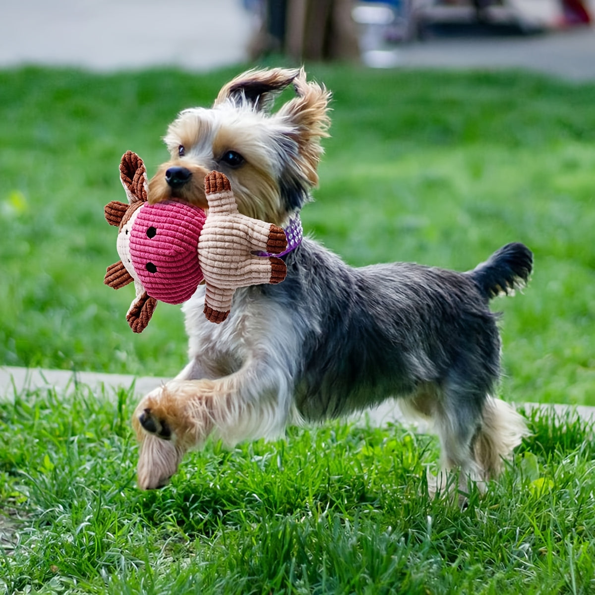 Puppy Toy Variety Pack for Small Dogs, Random 6, 12 or 19 Piece Assortment with Rope and Squeaky Toy Styles for Supervised Chew, Fetch and Tug Play