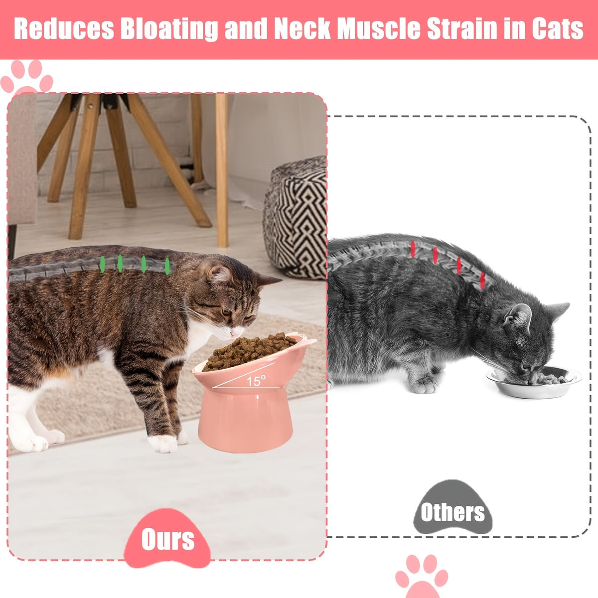 Raised Cat Bowls 3-Piece Color Set, Cat-Ear Shaped Elevated Pet Feeding Dishes with Anti-Slip Base in Blue, Pink and Green for Everyday Meals
