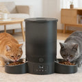 Timed Automatic Cat Feeder with 2 Stainless Steel Bowls, 101.44oz Button-Control Food Dispenser, 1-10 Feedings and Dual Power for Multi-Pet Homes