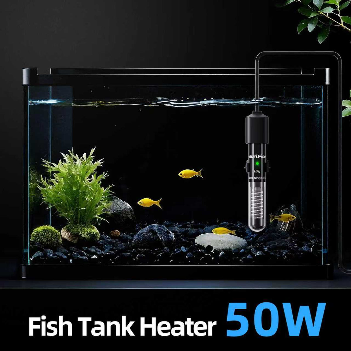 Small Fish Tank Heater 50W, Mini Submersible Aquarium Heater Preset to 78°F for 1-10 Gallon Tanks, 4.5-Inch Design with Thermometer Strip